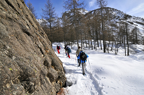 _DSC0640.jpg